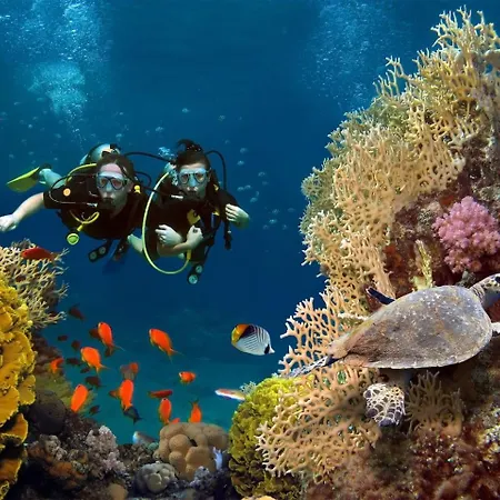Bright Marina View Steps To